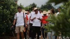 菊花村的那些事,揭秘古村落的传奇故事